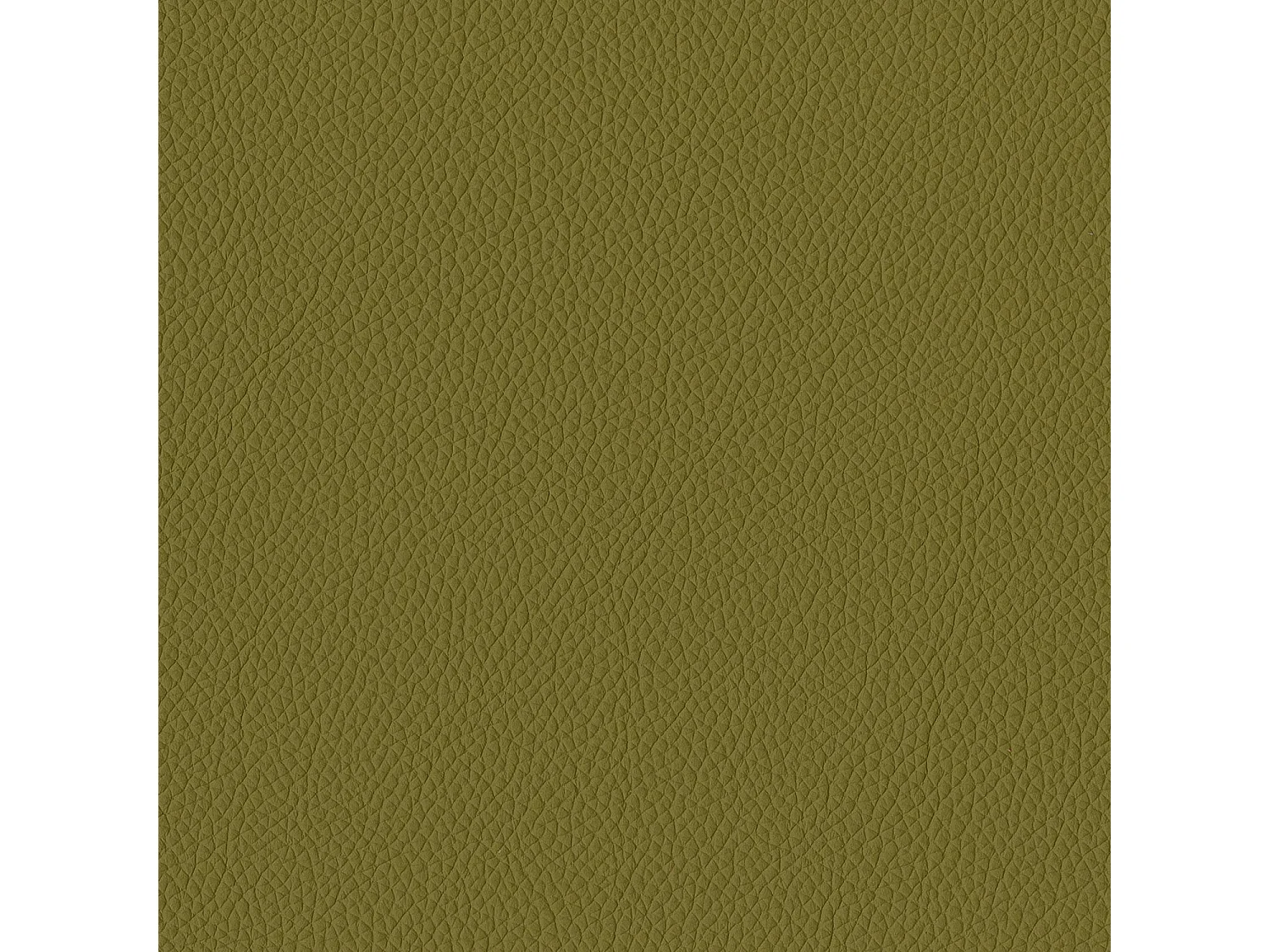 Set van 2 stoelen met antracietgrijze structuur van grenengroen leer