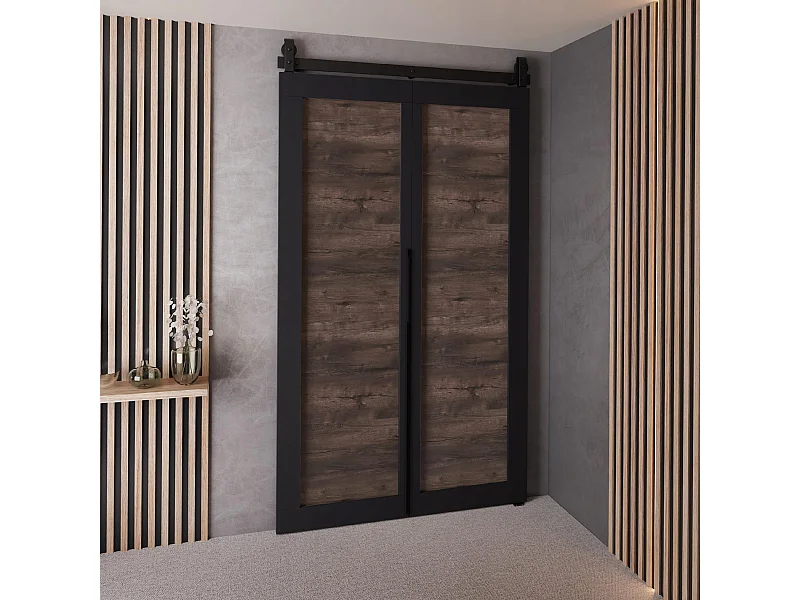 Portes coulissantes QUDIO M1 noir + frêne foncé 100