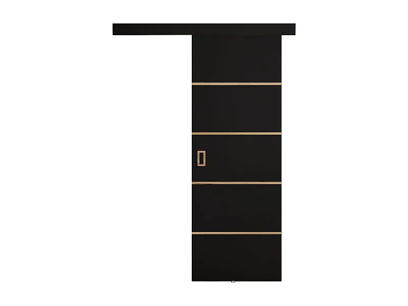 Portes coulissantes avec cache-rail WERDI PLUS 60 noir