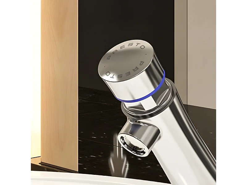 Robinet poussoir temporisé à manette eau froide sur plage pour lavabo PRESTO Neo chrome