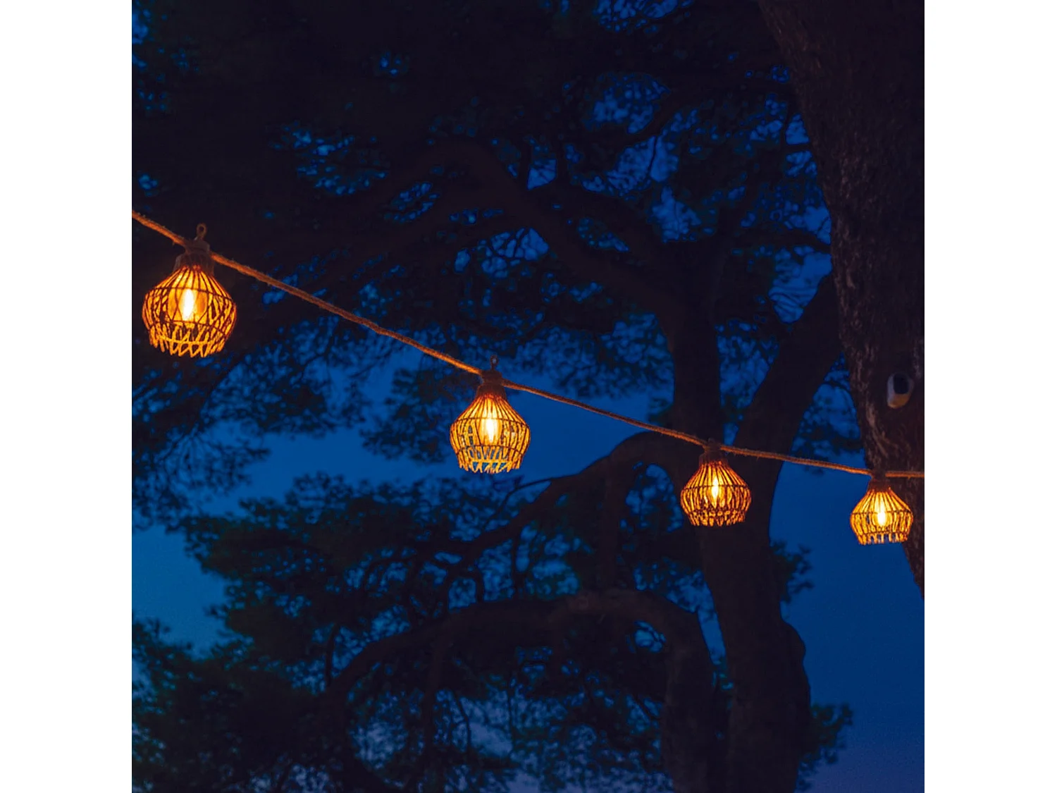 Guirlande solaire ROTILIA HYBRID 10 ampoules 8M