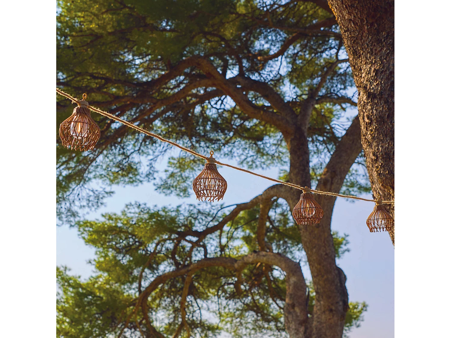 Guirlande solaire ROTILIA HYBRID 10 ampoules 8M