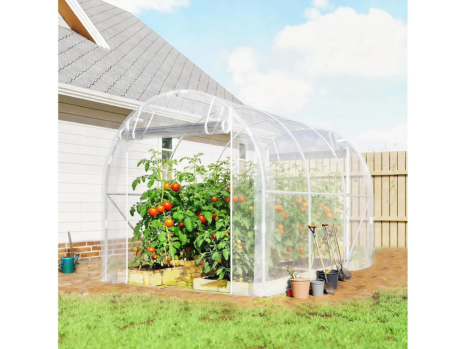 Serra a tunnel 2x3x2 m con porte avvolgibili acciaio e pe trasparente