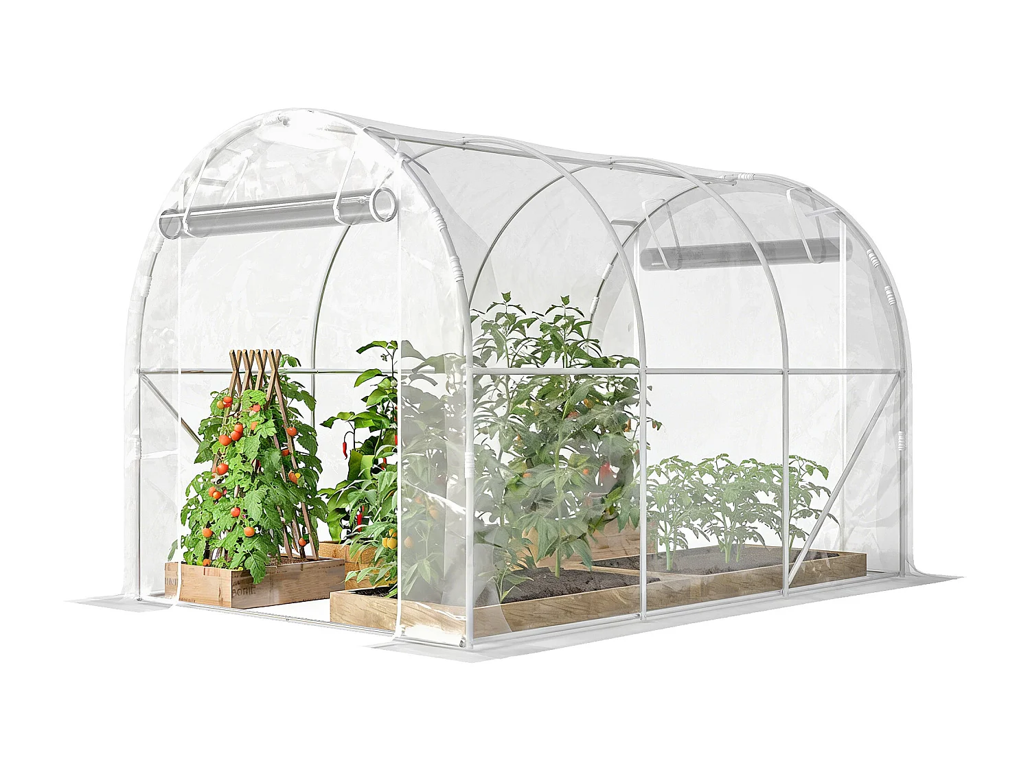 Serra a tunnel 2x3x2 m con porte avvolgibili acciaio e pe trasparente