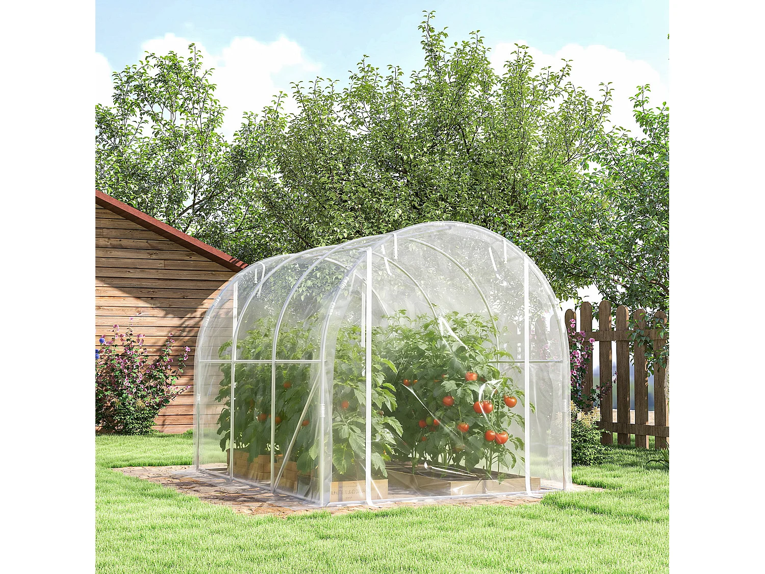 Serra a tunnel 2x3x2 m con porte avvolgibili acciaio e pe trasparente