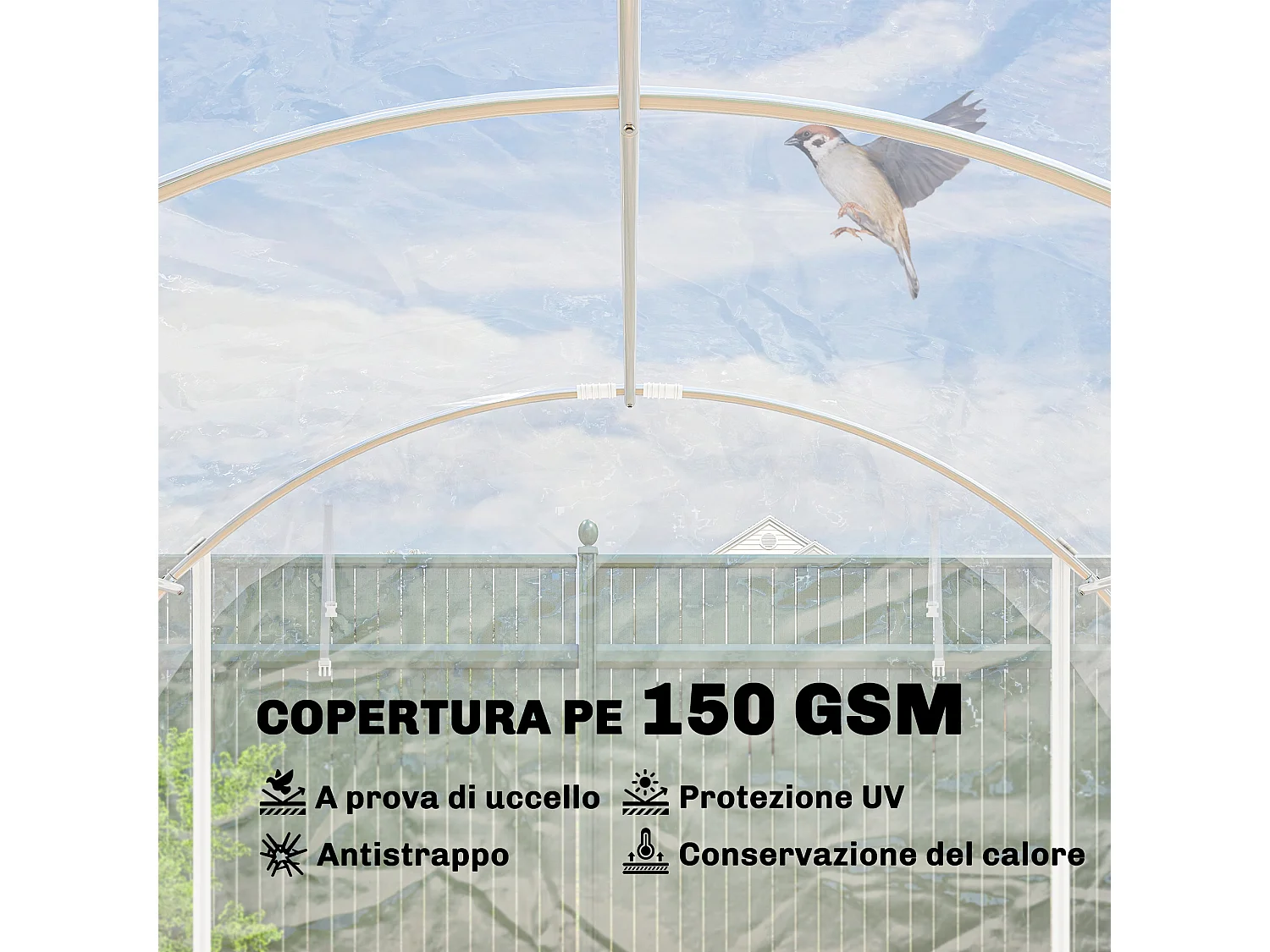 Serra a tunnel 3x4x2 m con porte avvolgibili acciaio e pe trasparente