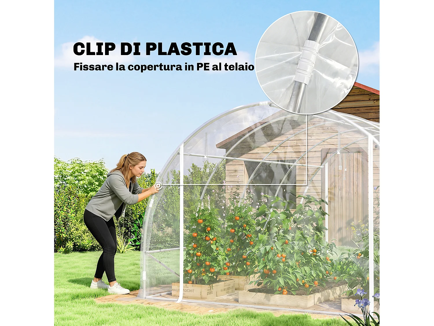 Serra a tunnel 3x4x2 m con porte avvolgibili acciaio e pe trasparente