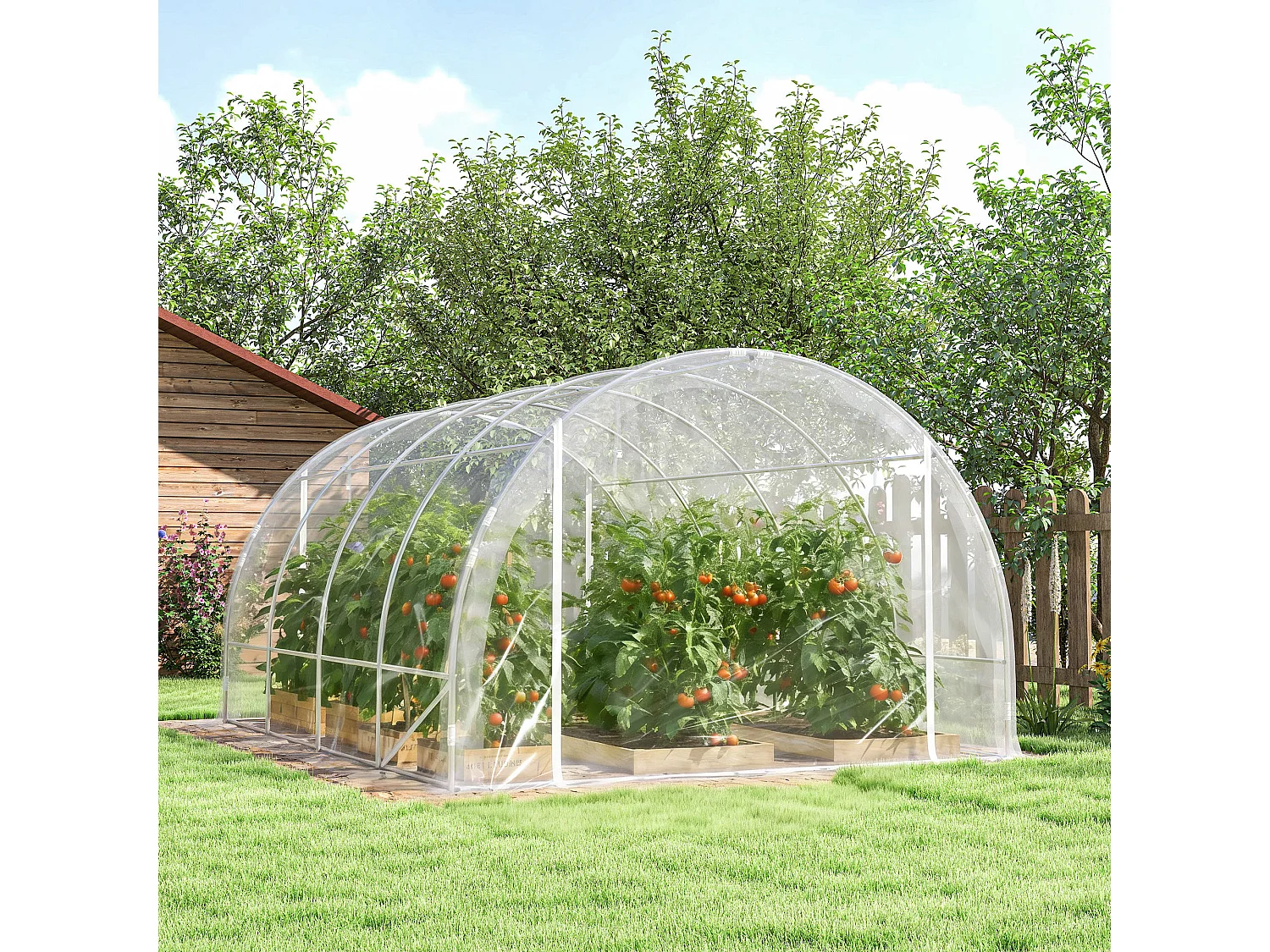 Serra a tunnel 3x4x2 m con porte avvolgibili acciaio e pe trasparente