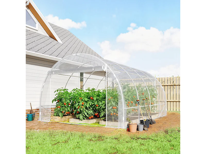 Serra a tunnel 3x4x2 m con porte avvolgibili acciaio e pe trasparente