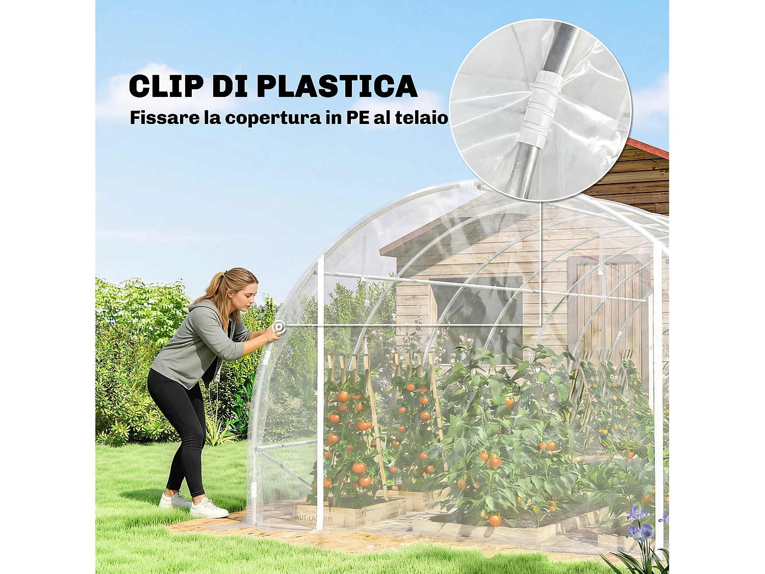 Serra a tunnel 3x6x2 m con porte avvolgibili acciaio e pe trasparente