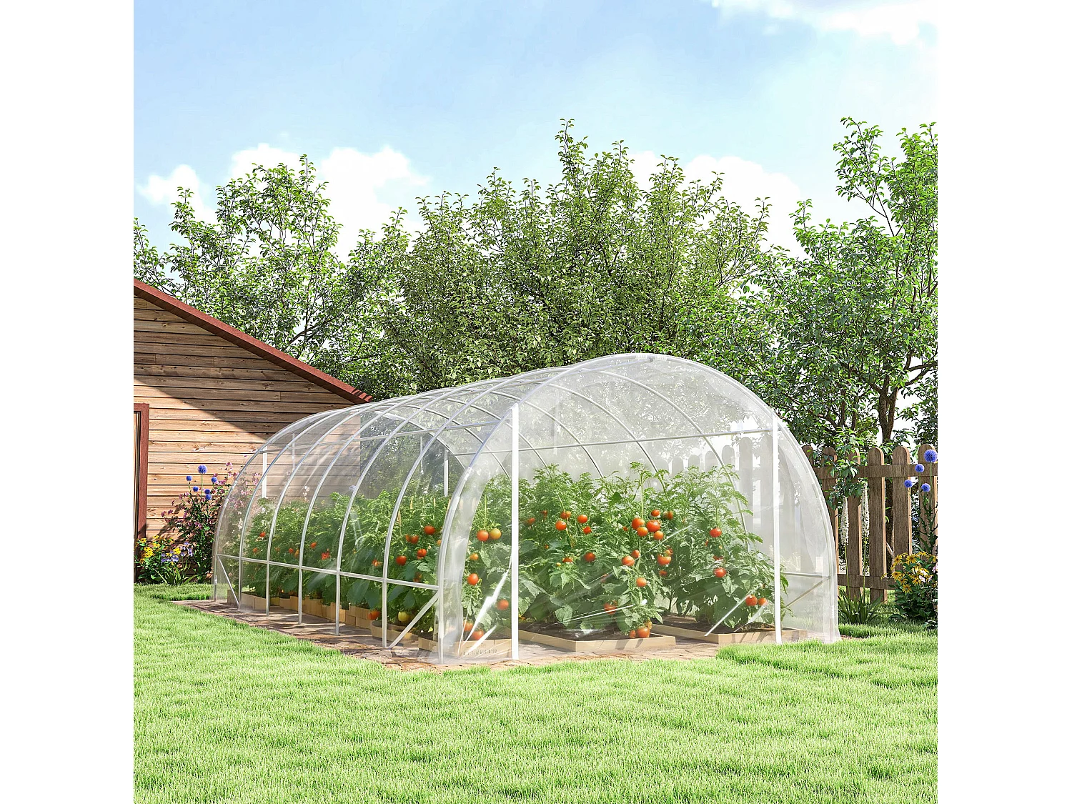 Serra a tunnel 3x6x2 m con porte avvolgibili acciaio e pe trasparente