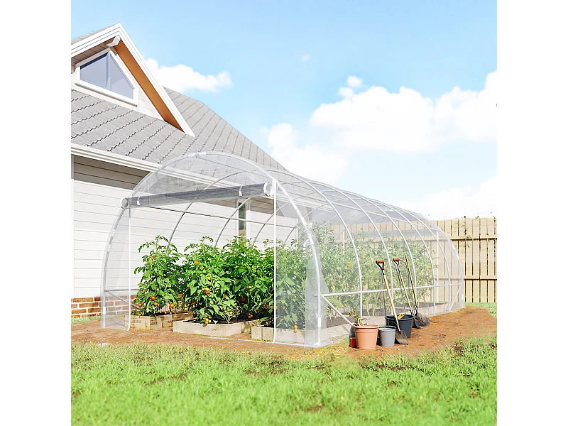 Serra a tunnel 3x6x2 m con porte avvolgibili acciaio e pe trasparente