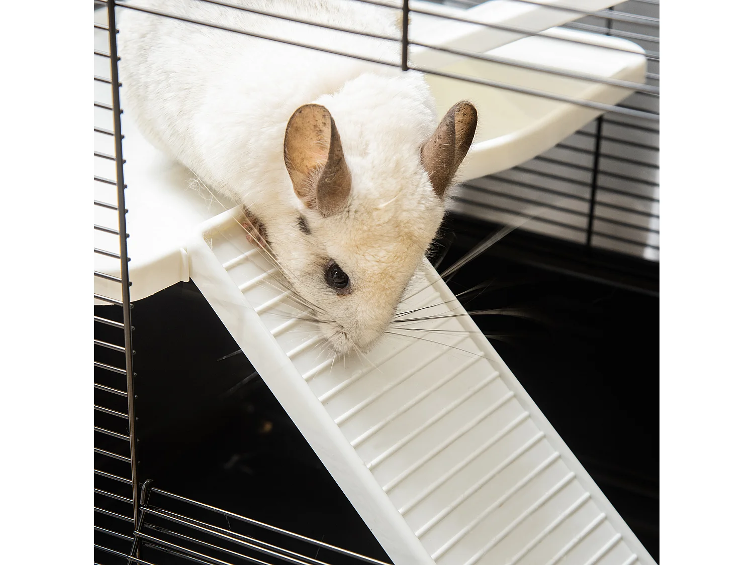 Gabbia per porcellino d'india con maniglia e rampa nera