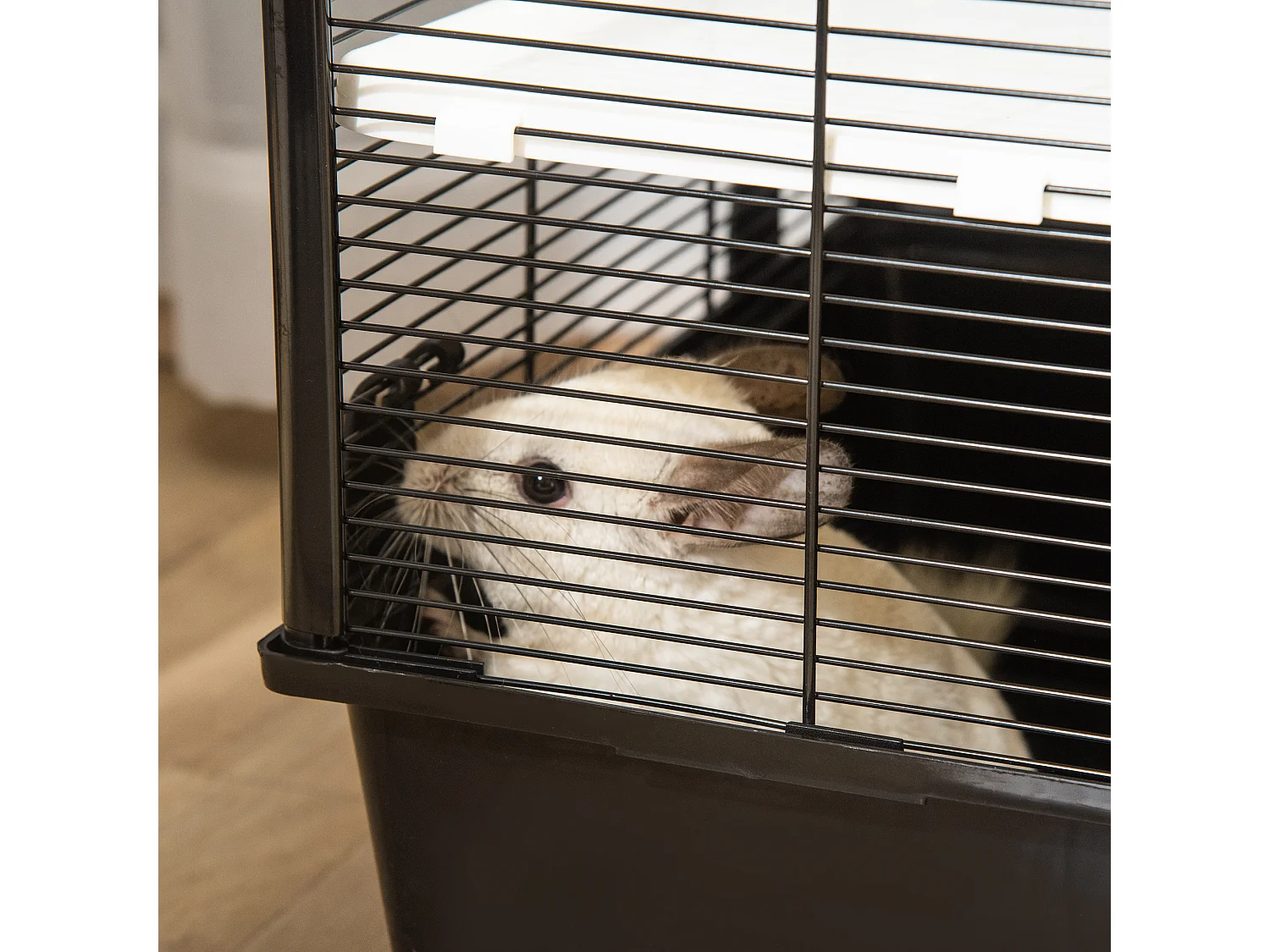 Gabbia per porcellino d'india con maniglia e rampa nera