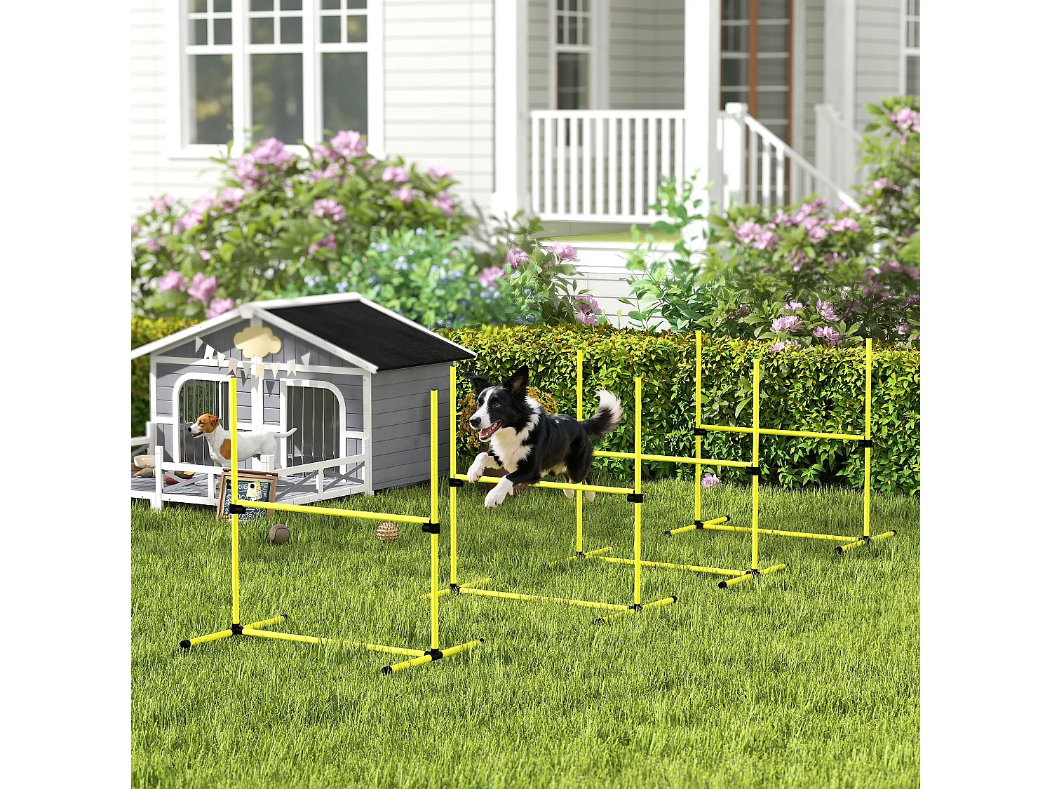 Set 4 ostacoli regolabili agility dog per addestramento cani giallo
