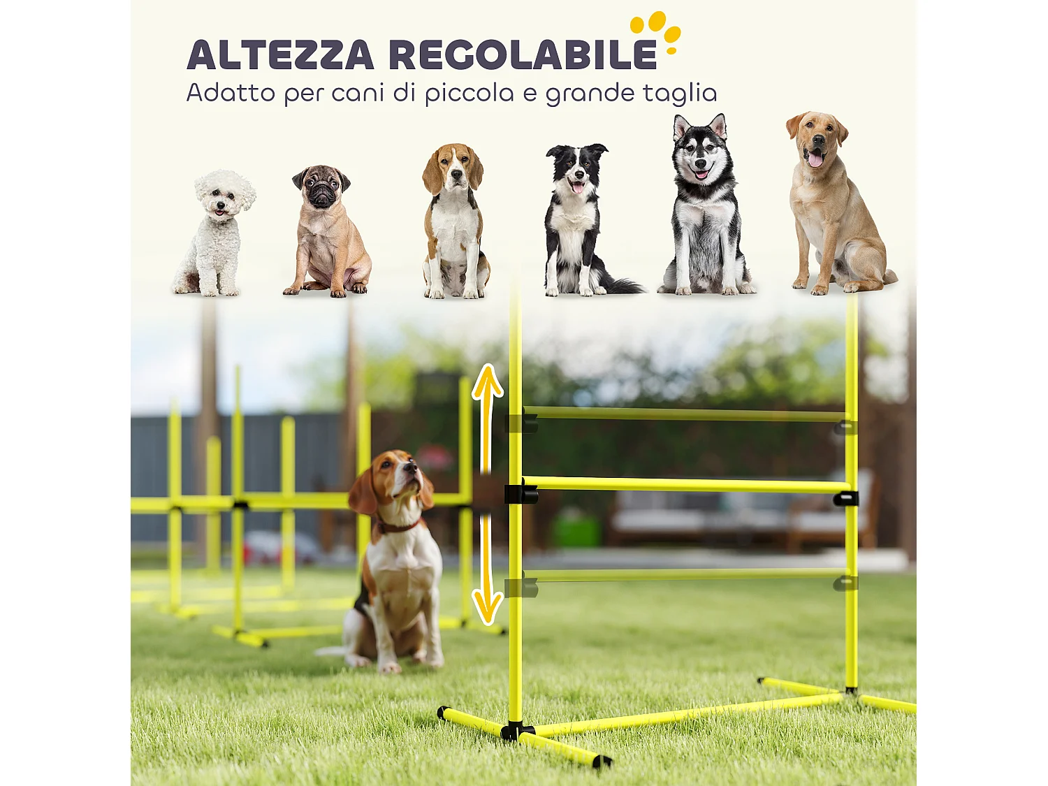 Set 4 ostacoli regolabili agility dog per addestramento cani giallo
