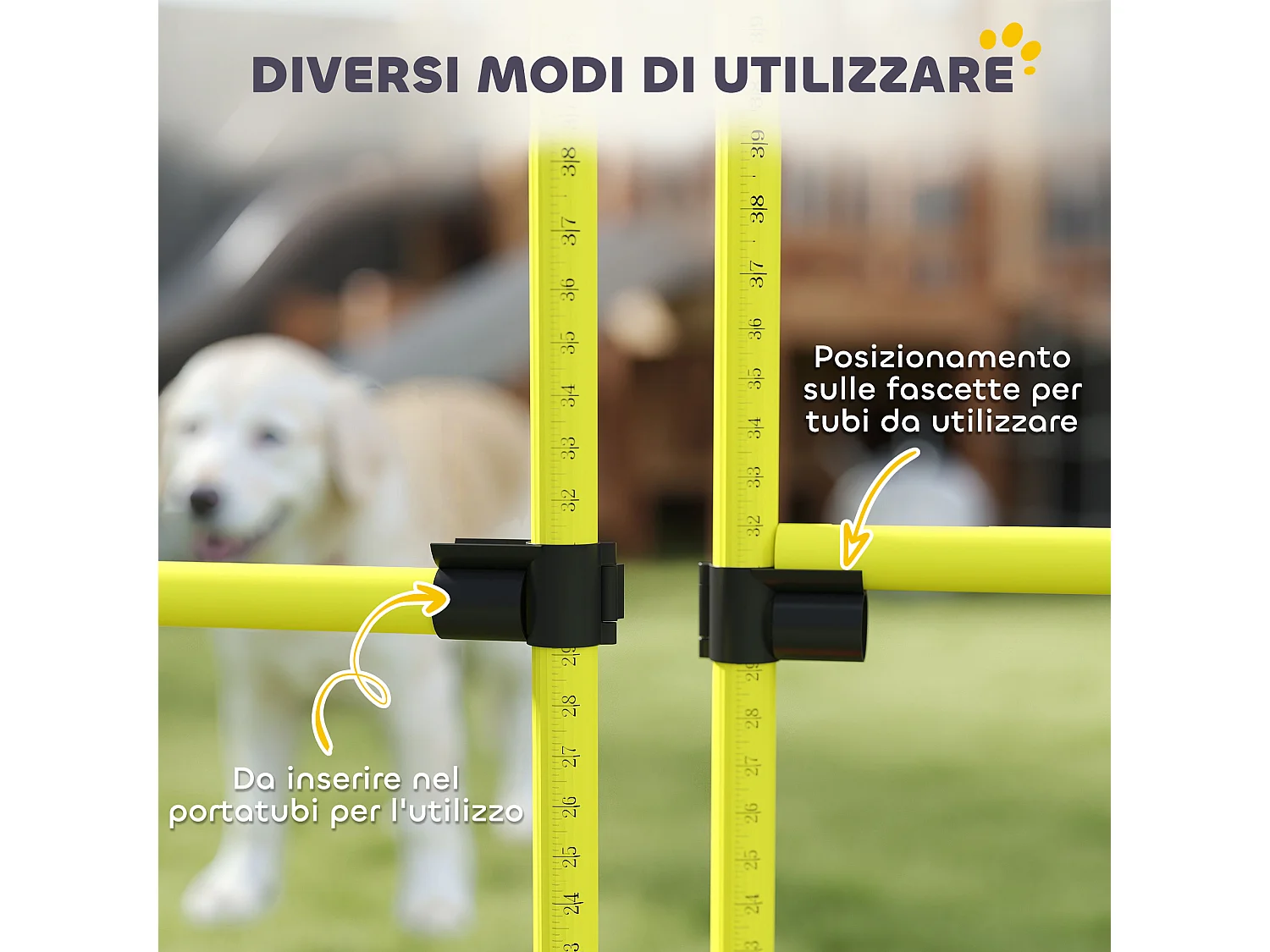 Set 4 ostacoli regolabili agility dog per addestramento cani giallo