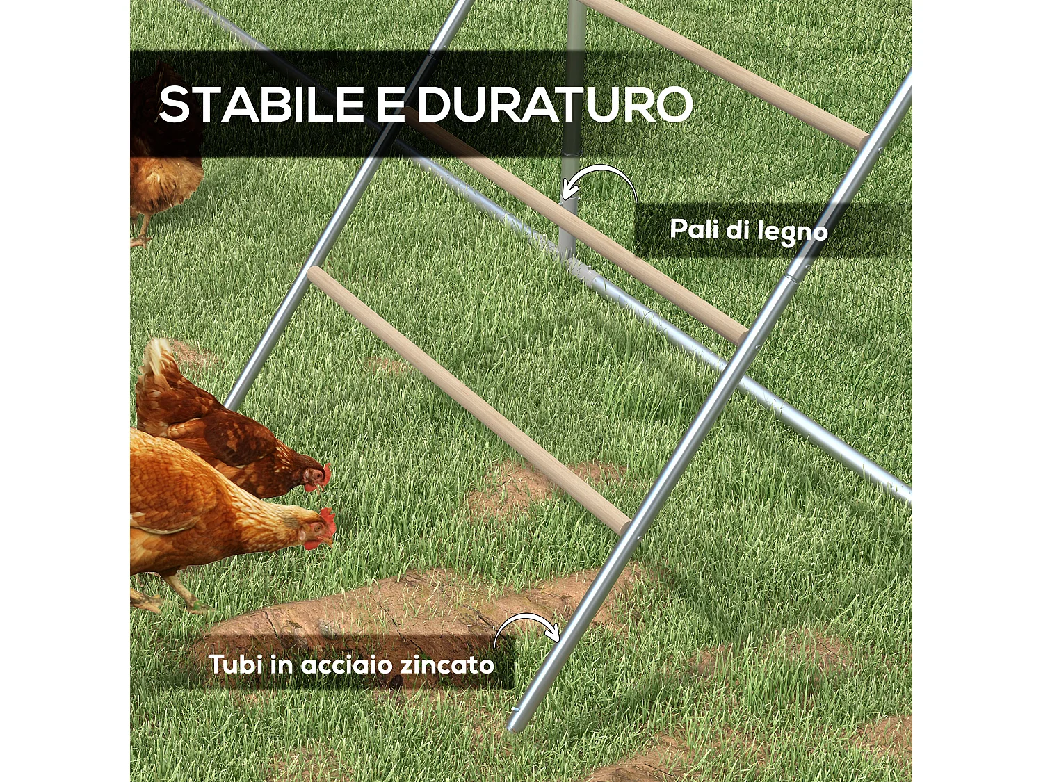 Trespolo per galline a 4 livelli per 4-6 polli in legno e acciaio