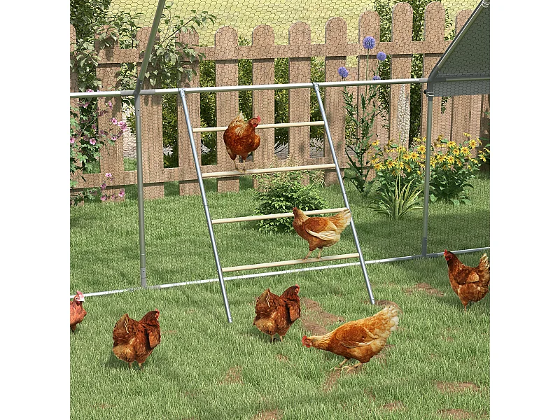 Trespolo per galline a 4 livelli per 4-6 polli in legno e acciaio