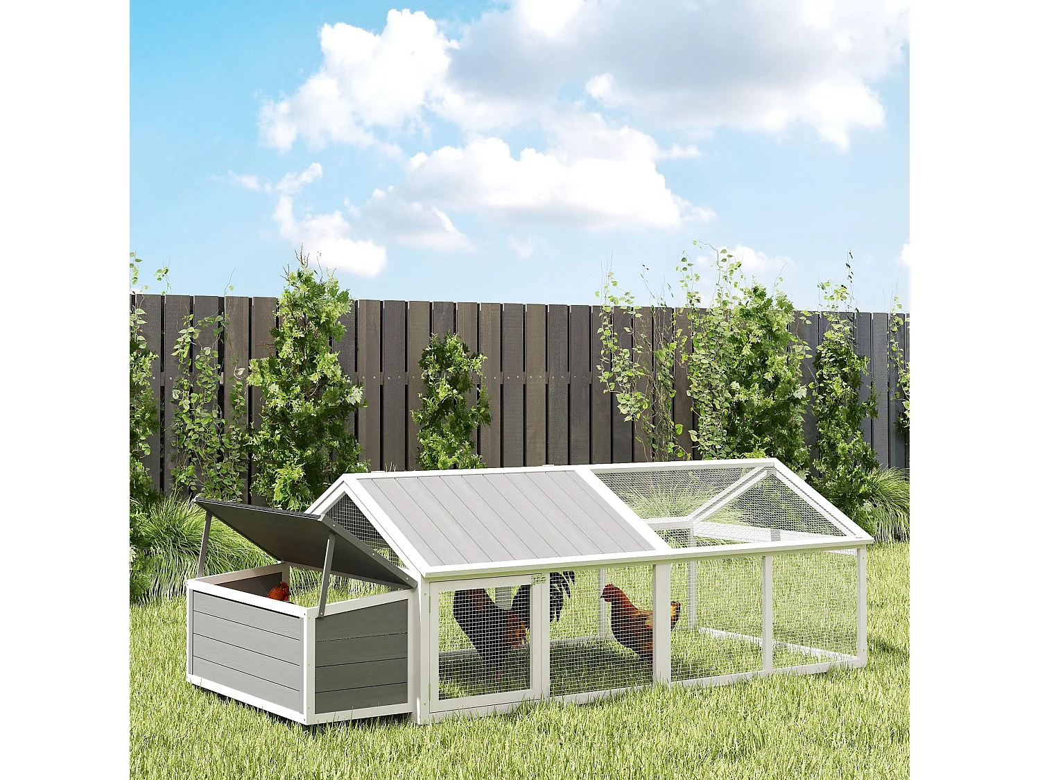 Pollaio da giardino in legno di abete con rete metallica bianco
