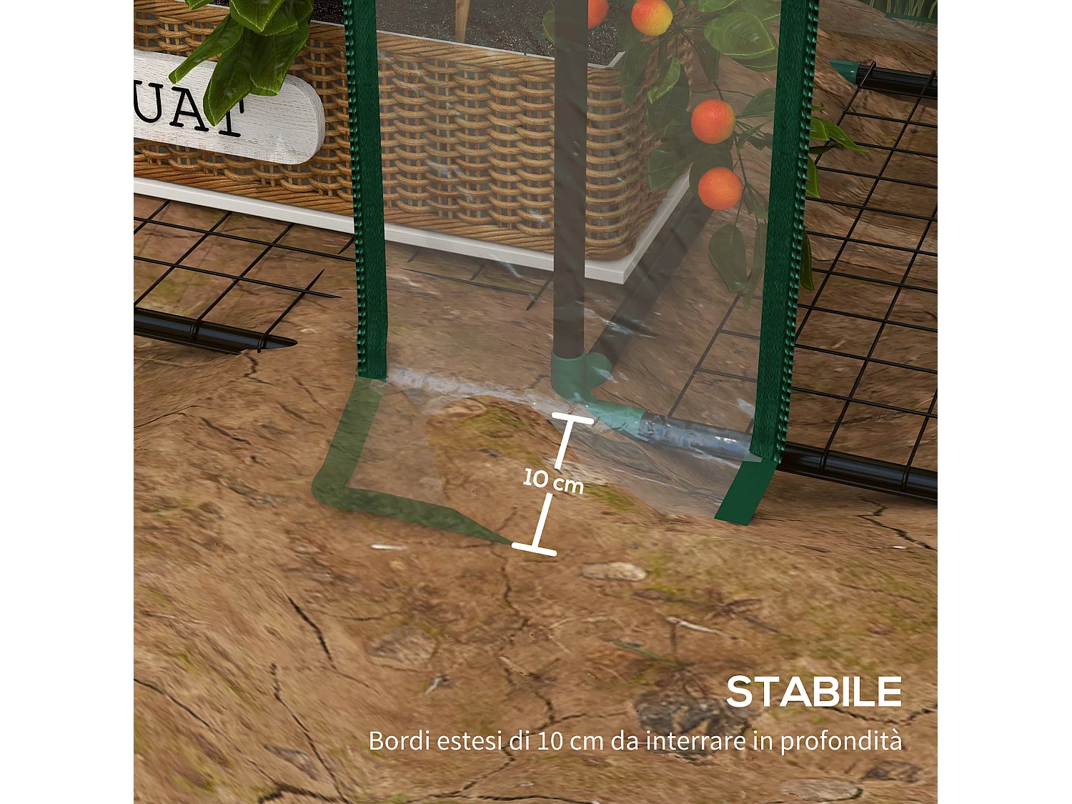 Serra da giardino 6 ripiani e copertura in PE 143x46x151cm trasparente