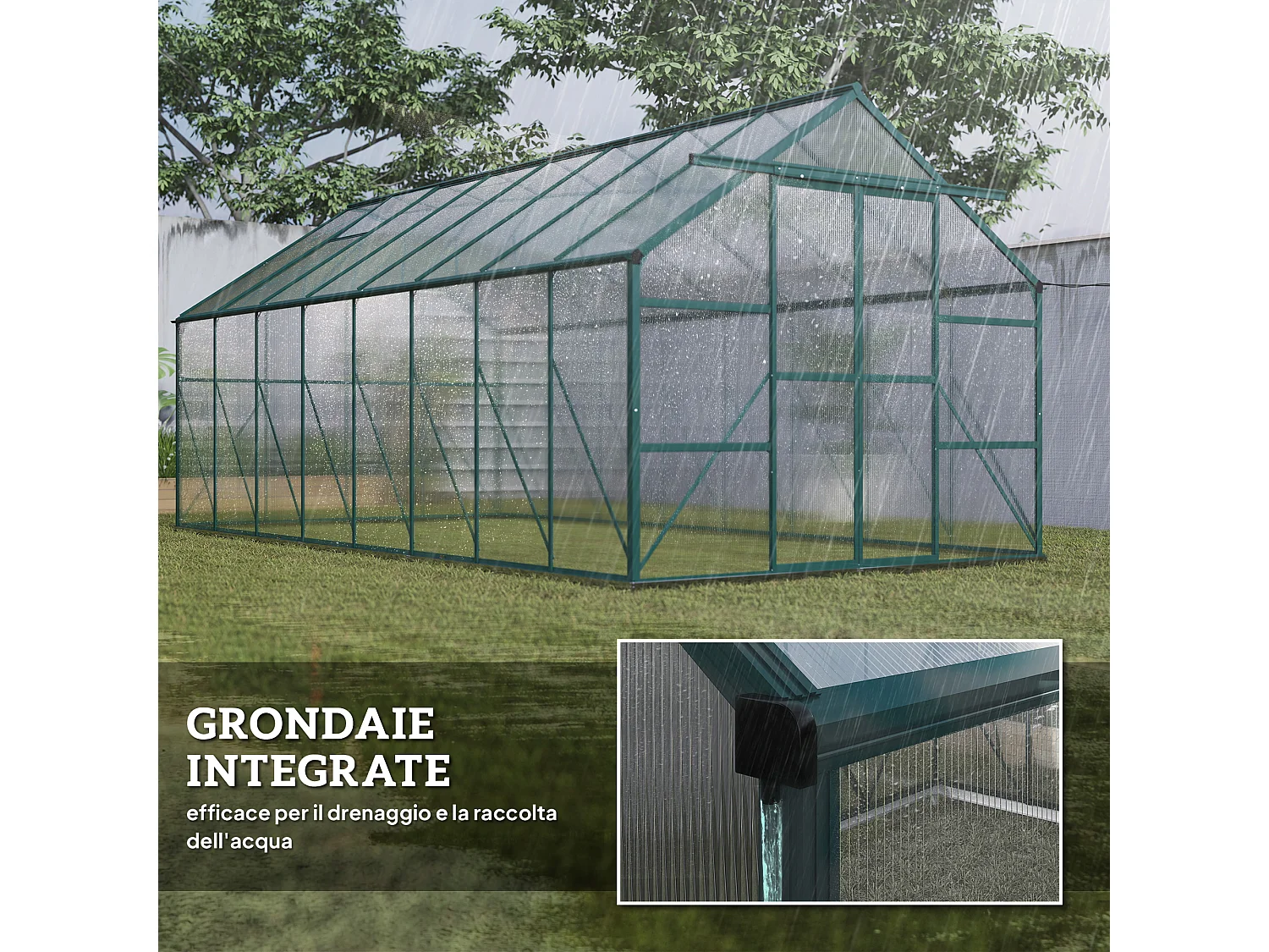 Serra per piante policarbonato 244x500x216cm porta scorrevole