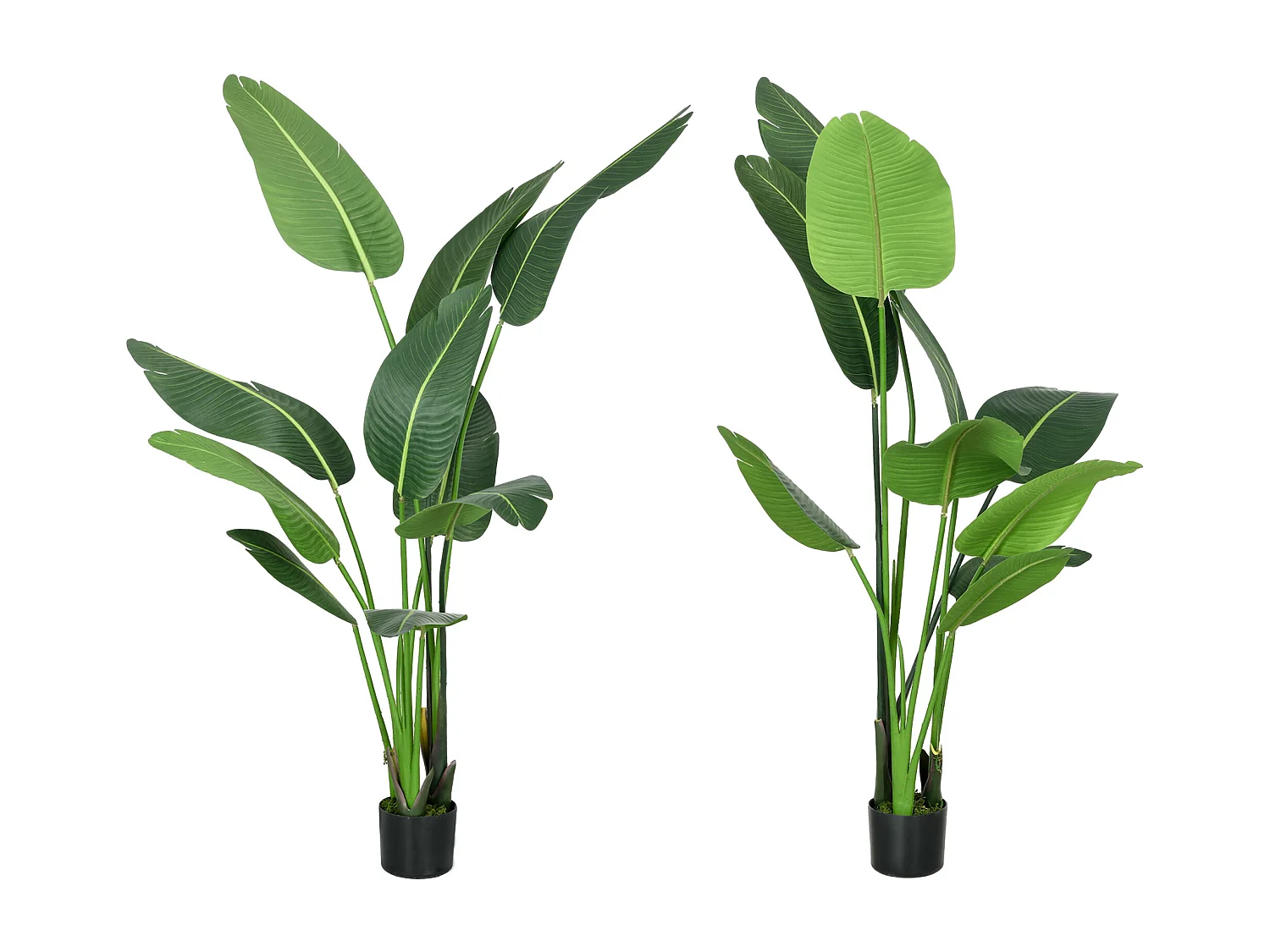 Pianta artificiale palma del viaggiatore con vaso per casa e giardino