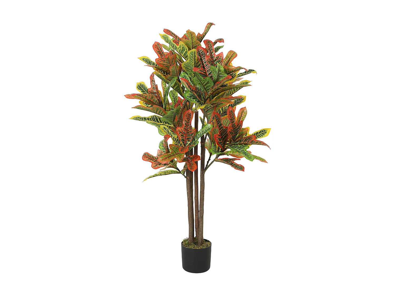 Pianta artificiale di croton in peva e legno 55x55x120 multicolore