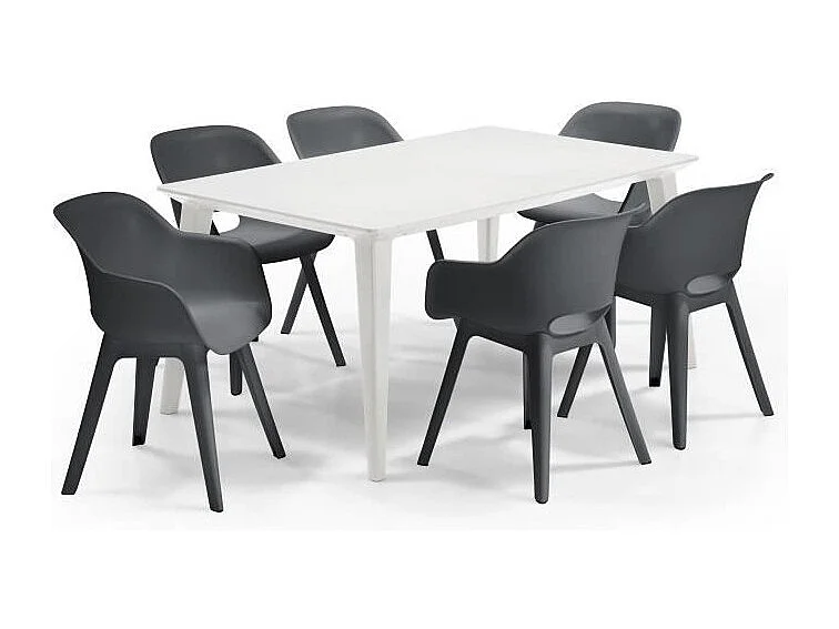 Table de jardin ALLIBERT by KETER LIMA 160 cm 6 places en résine blanche mate