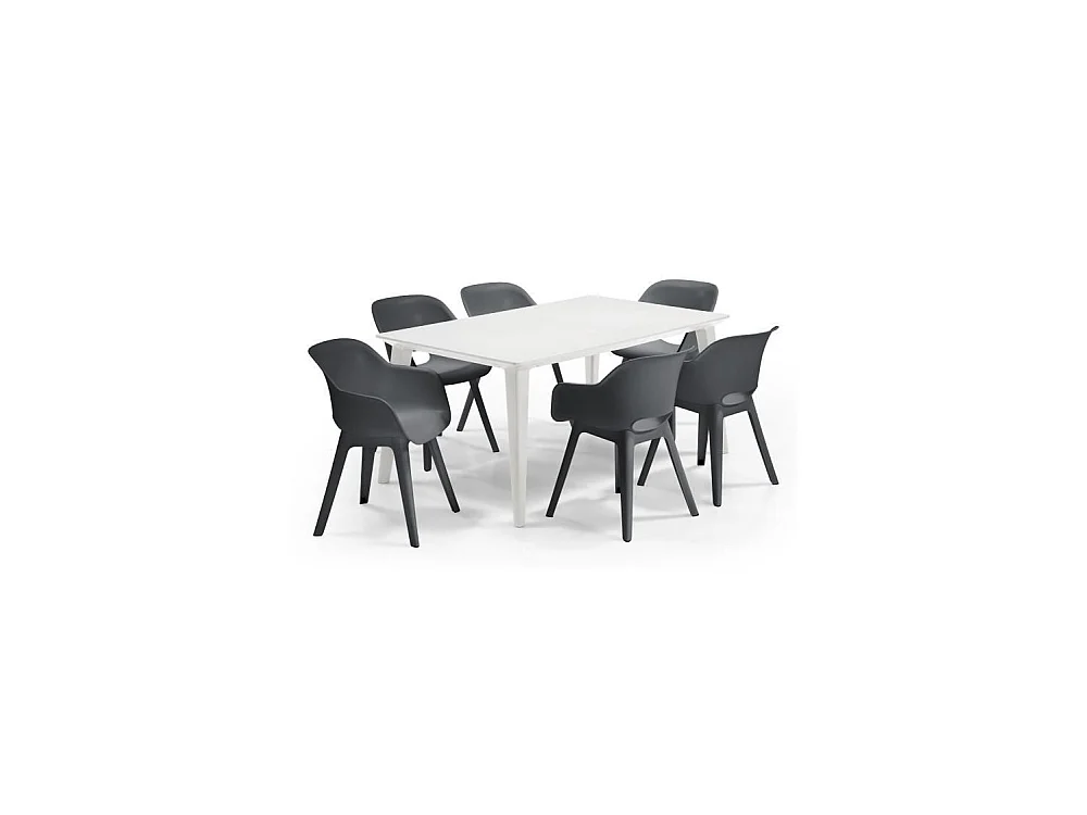 Table de jardin ALLIBERT by KETER LIMA 160 cm 6 places en résine blanche mate