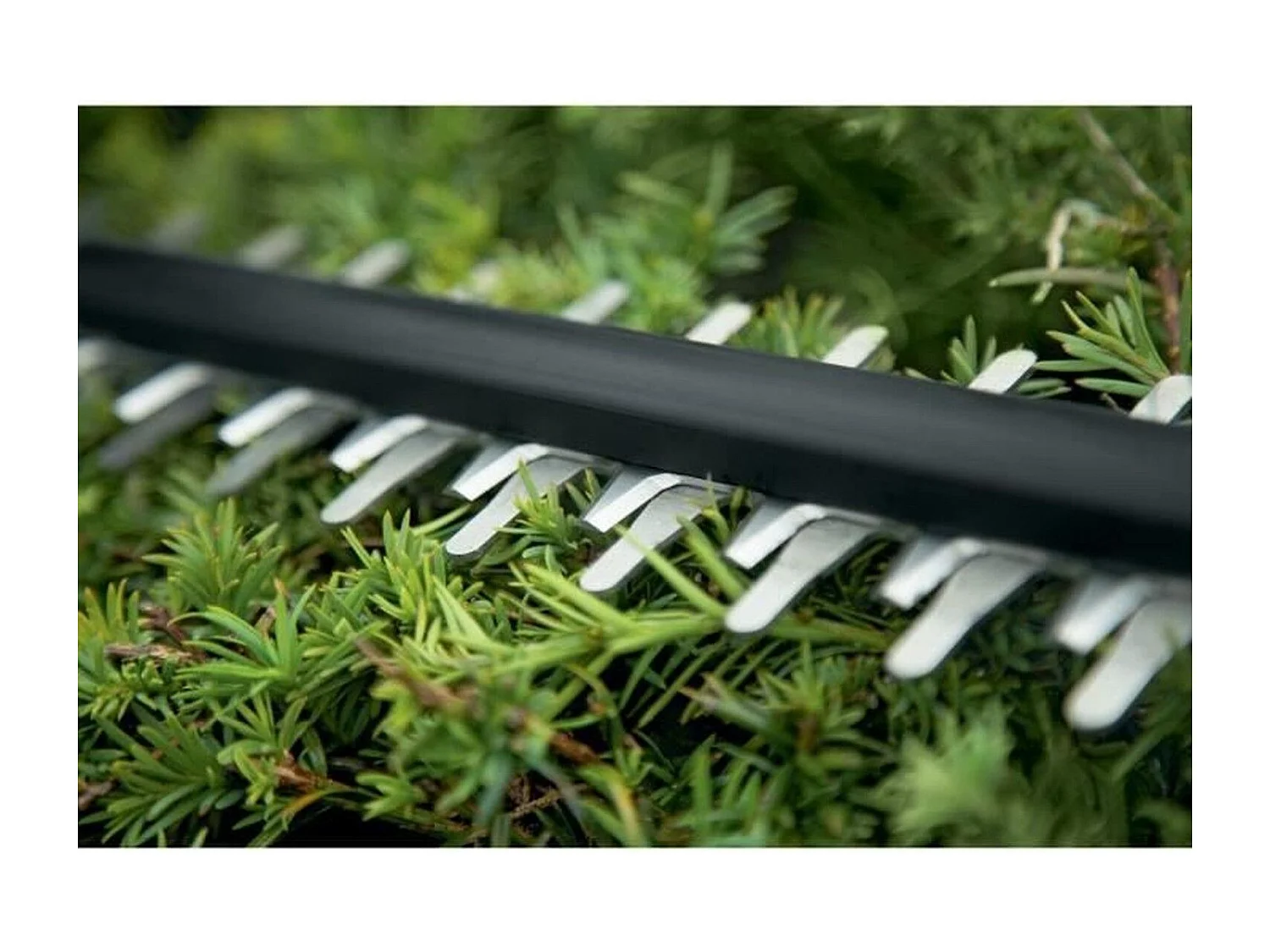 Kabelloser Bosch UniversalHedgeCut 18-55 Heckenschere, 55 cm Stahlmesser, bürstenloser 18V Motor, Astschnitt bis 22 mm