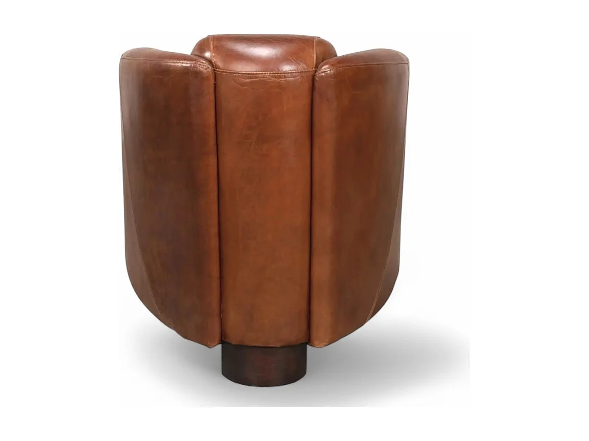 Poltrona club marrone pelle patinata – collezione Bryan