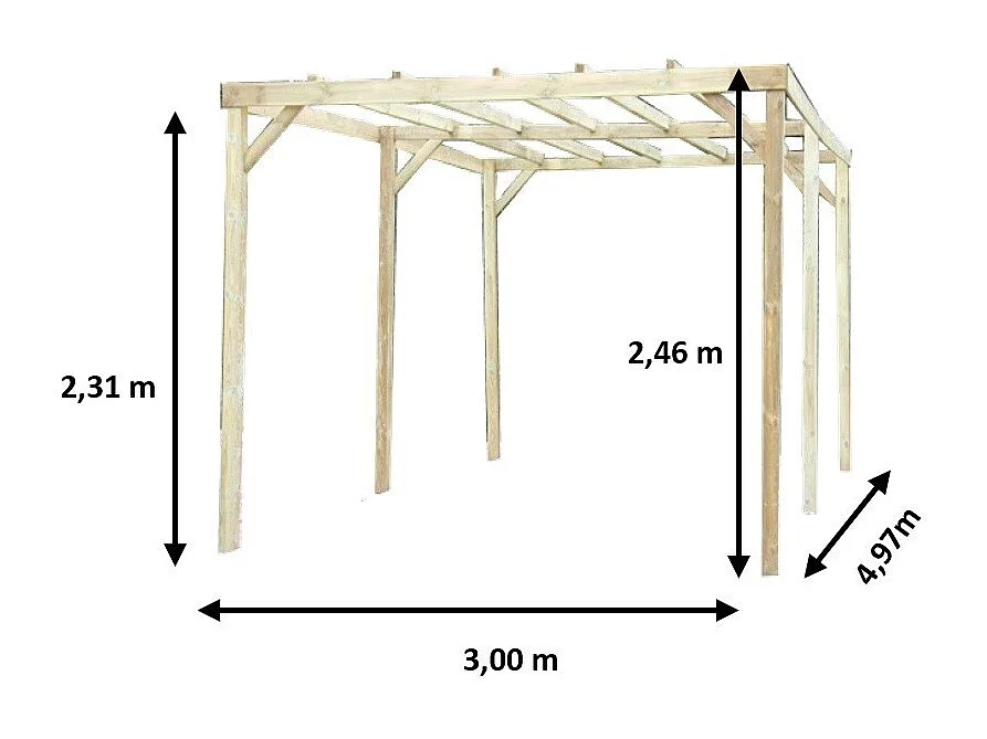 CAR3050-A-Carport traite autoclave  sans couverture