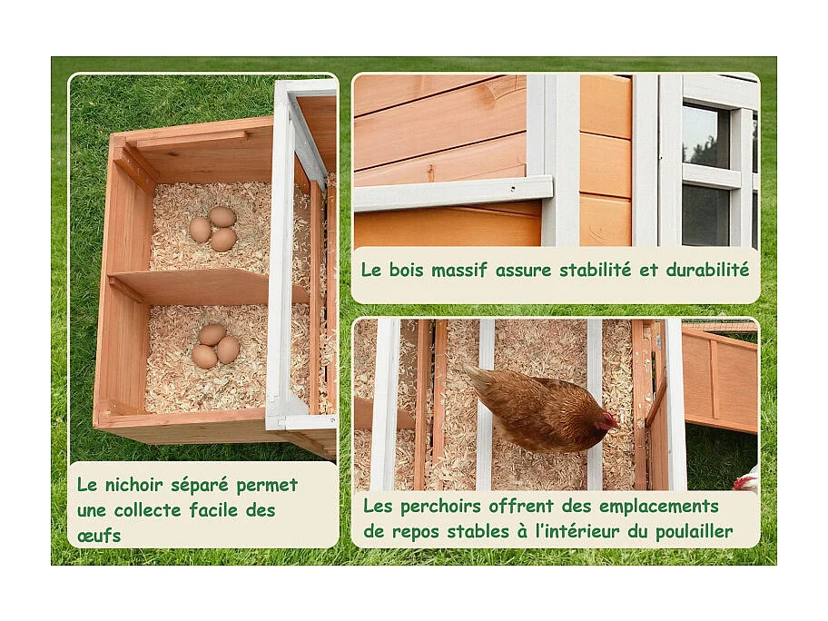 Poulailler en bois pour jardin extérieure 183x103x75cm Cage Canard avec Nichoirs Modèle Ida