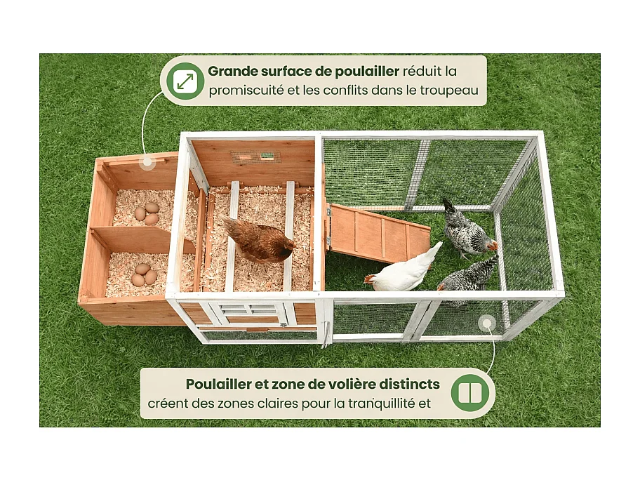 Poulailler en bois pour jardin extérieure 183x103x75cm Cage Canard avec Nichoirs Modèle Ida