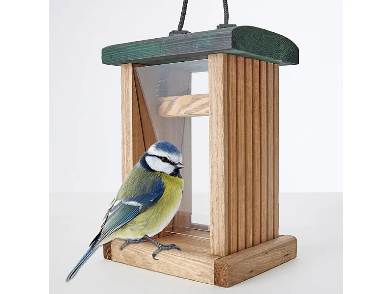 Mangeoire oiseaux extérieur à suspendre pour oiseaux sauvage pour jardin balcon Distributeur de graine 329