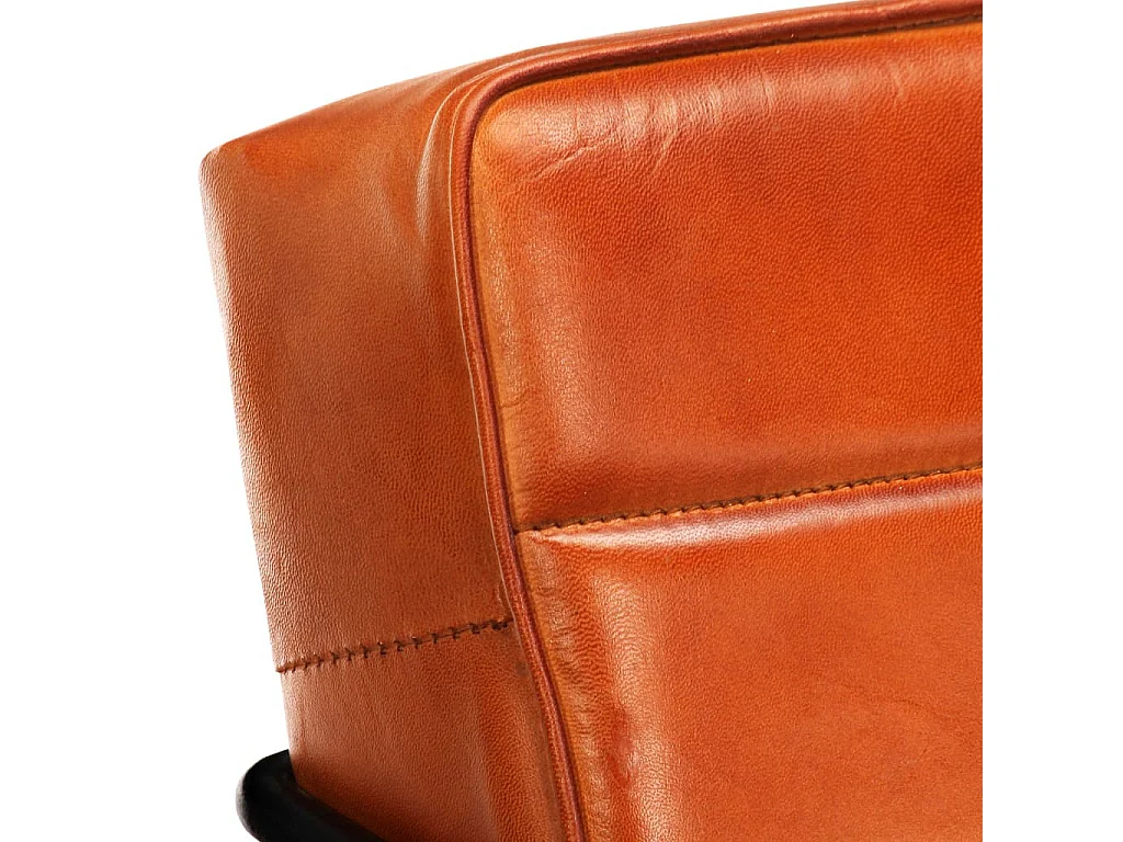 Fauteuil Brun roux Cuir véritable 2