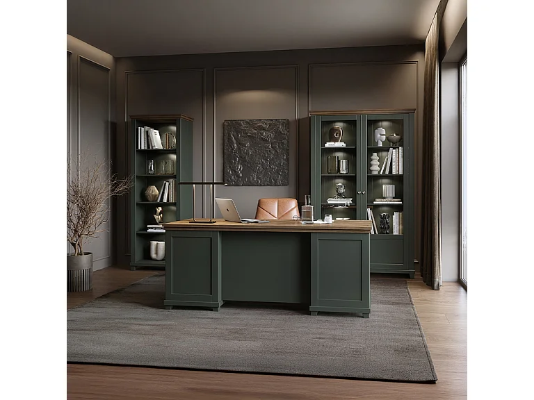 Bureau 1 porte 4 tiroirs Martin Vert et Bois