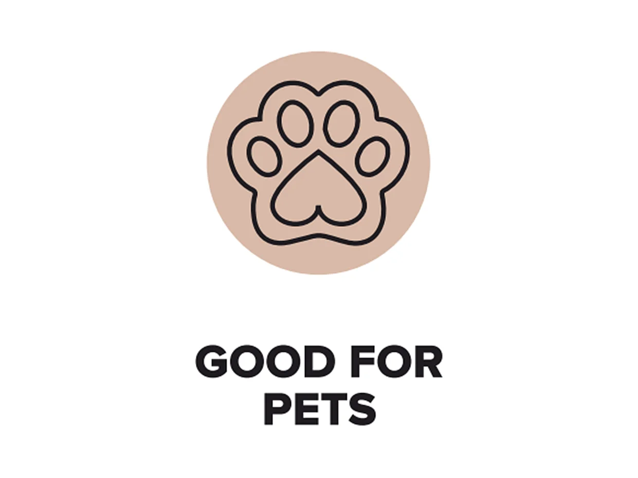 Stella – Moderne hoekbank met elegante afwerking