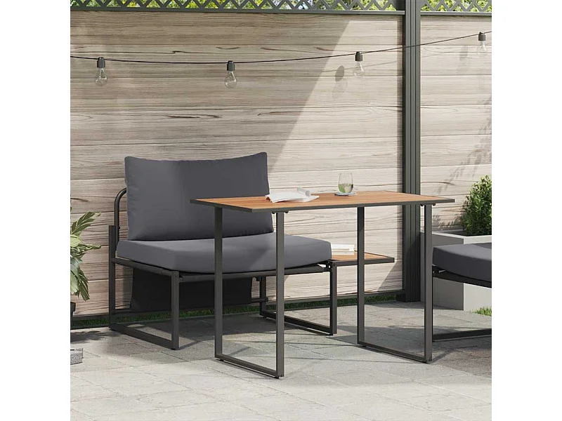 Mobilier de Patio en Acier 2 pièces Anthracite Acier