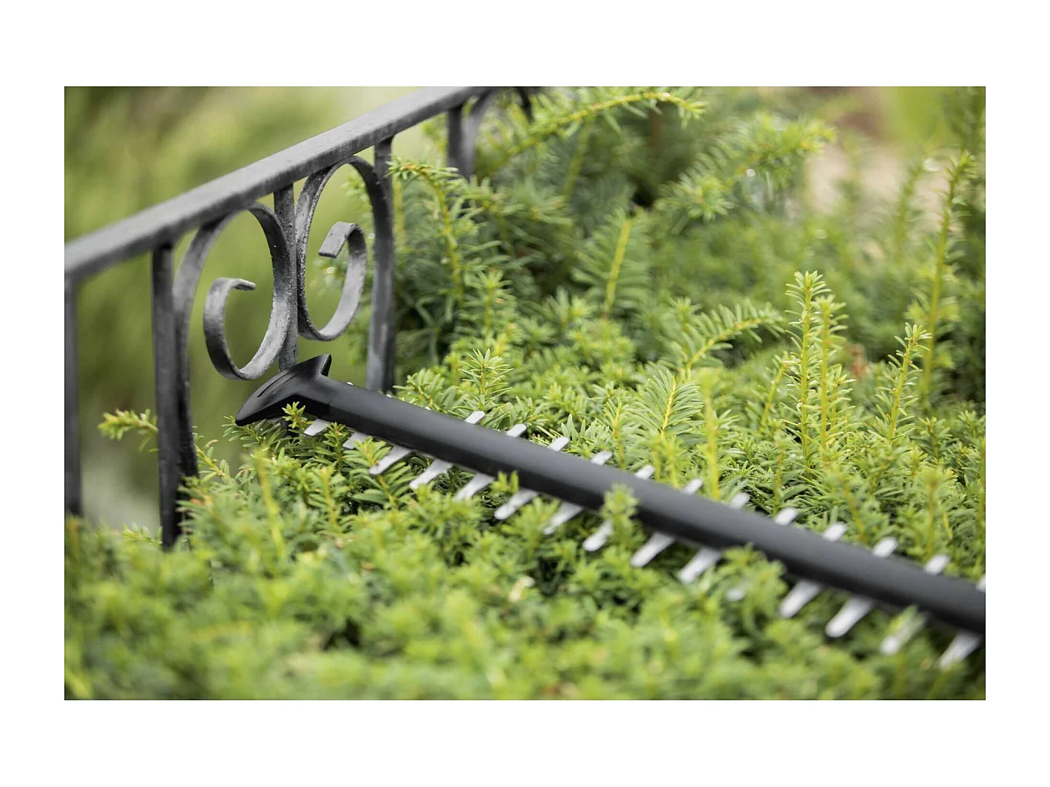 Draadloze Bosch UniversalHedgeCut 18-50 PowerForAll 18V Heggenschaar - Alleen gereedschap, anti-blokkeersysteem, takken tot 25 mm knippen