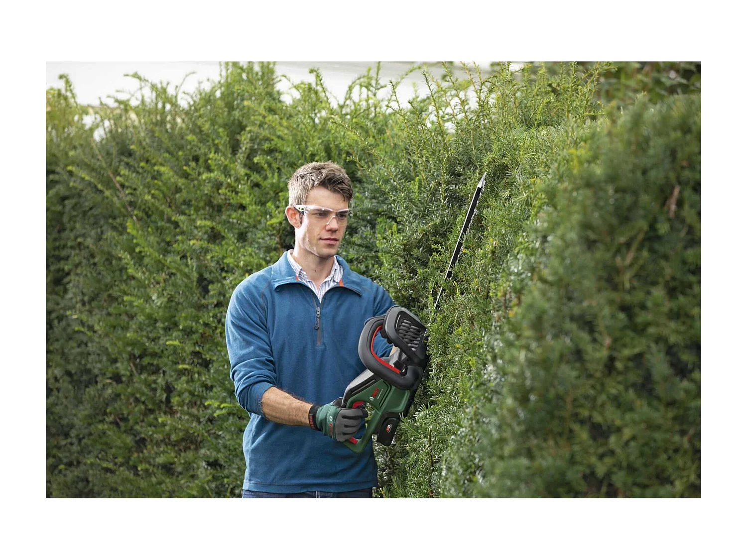 Draadloze Bosch UniversalHedgeCut 18-50 PowerForAll 18V Heggenschaar - Alleen gereedschap, anti-blokkeersysteem, takken tot 25 mm knippen