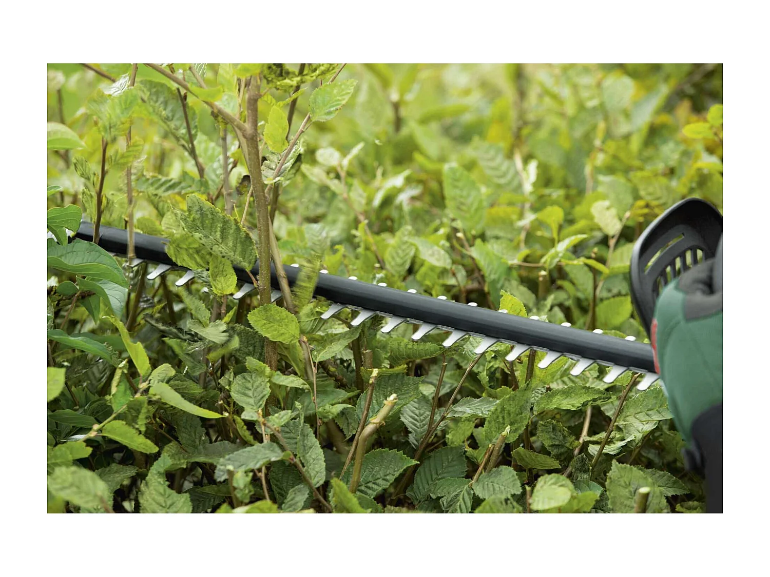 Draadloze Bosch UniversalHedgeCut 18-50 PowerForAll 18V Heggenschaar - Alleen gereedschap, anti-blokkeersysteem, takken tot 25 mm knippen