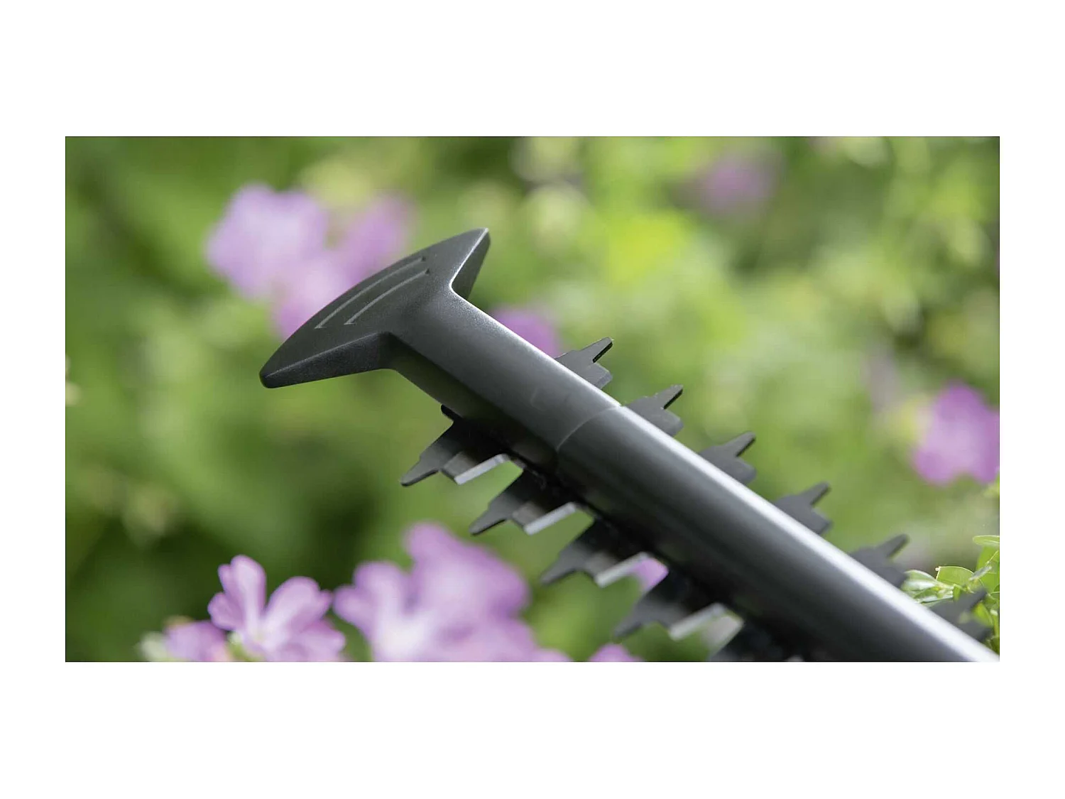 Elektrische heggenschaar Bosch EasyHedgeCut 45 - 45 cm mes, 420 W, licht en ergonomisch voor kleine hagen