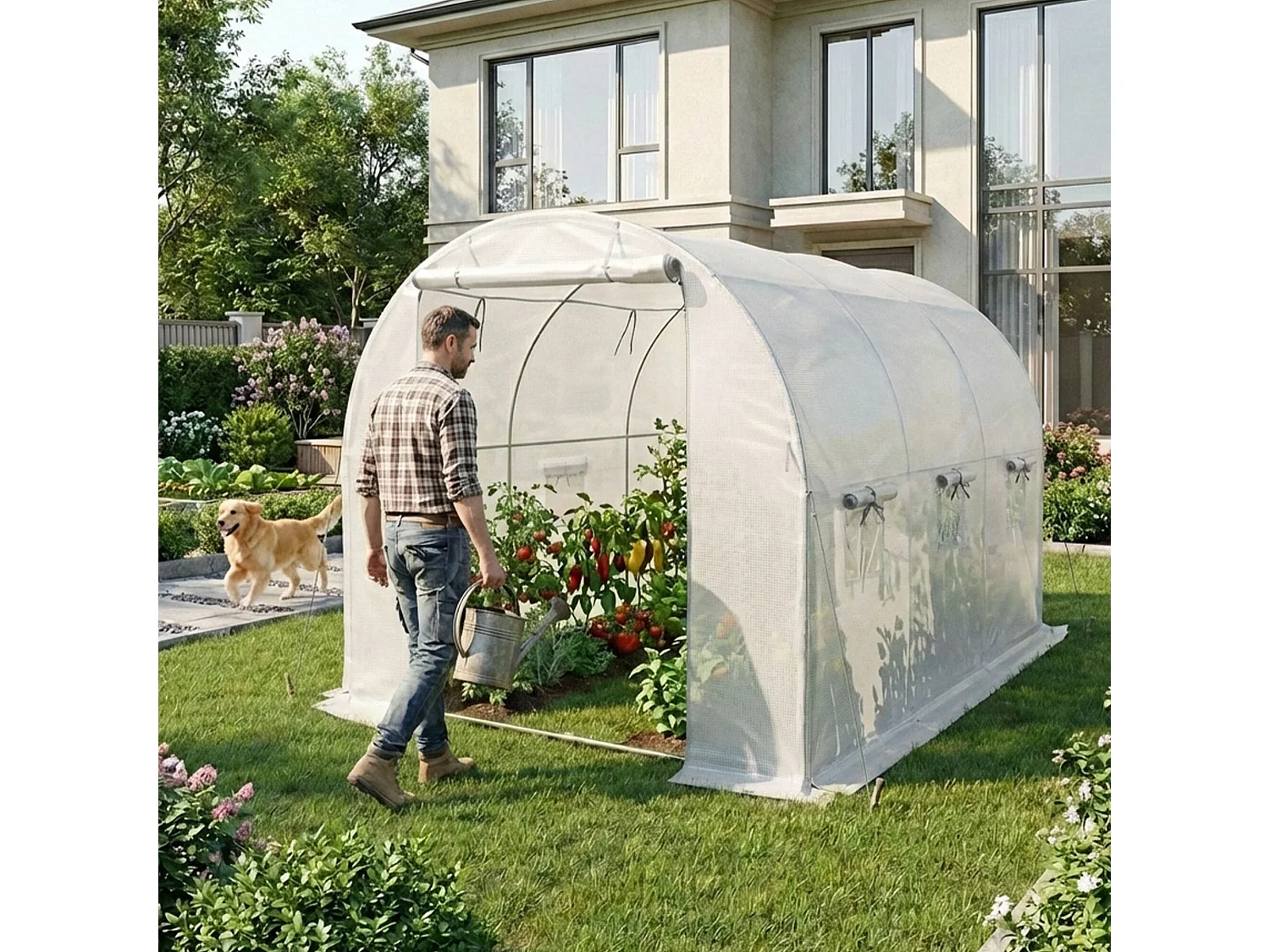 Kweekkas met oprolbare kasdeur / Tuinkas met 6 Vensters / Foliekas / Wit / 200x300x200 cm