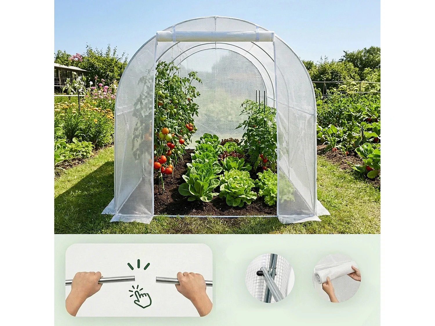 Kweekkas met oprolbare kasdeur / Tuinkas met 6 Vensters / Foliekas / Wit / 200x300x200 cm