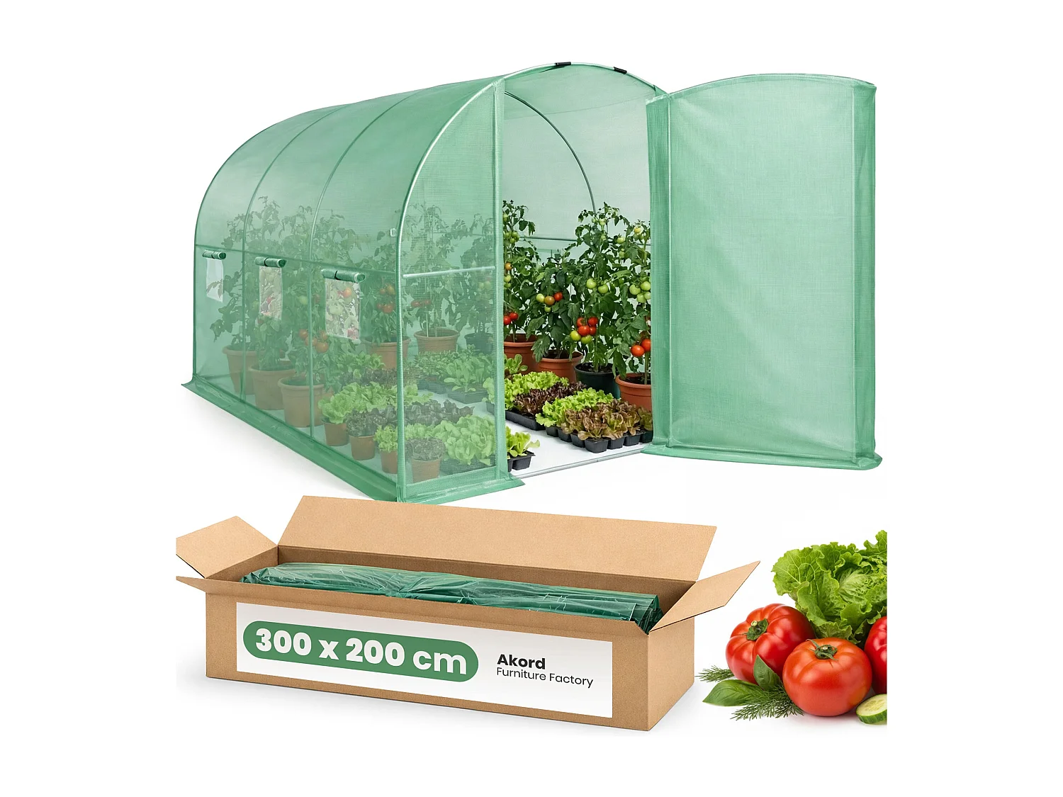 Kweekkas met Deur / Tuinkas met 6 Vensters / Foliekas / Groen / 200x300x200 cm