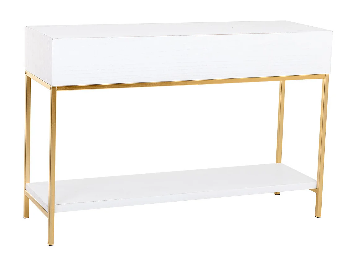 Meuble d'entrée avec deux tiroirs, bois et métal, 120x40x69h cm