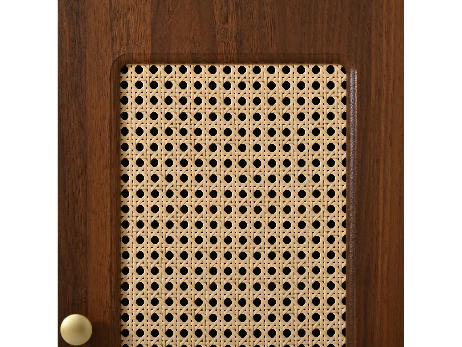 Schuhschrank aus Rattan - Eingangsbank - Mit Kissen - 1 Schublade und 1 Rattantür - Braun