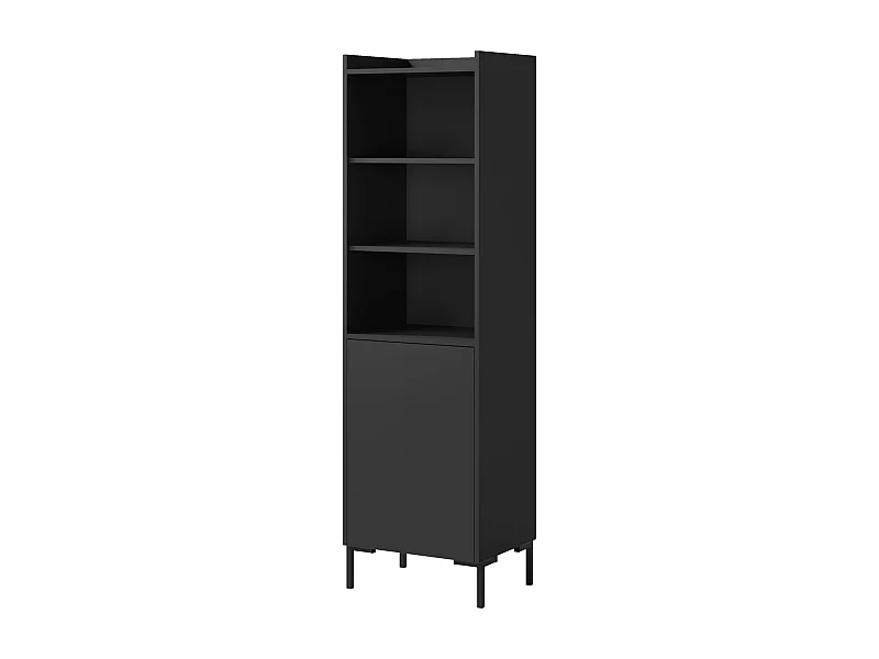 Regal mit Klapptüren Liam 50 Schwarz